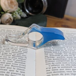 Bague de lecture 2